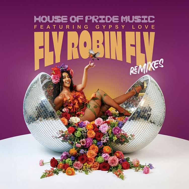 Fly Robin Fly (Remixes)