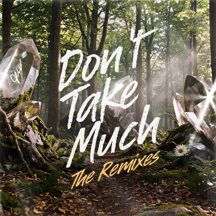 Don&rsquo;t Take Much (Kingdom 93 Mixes)